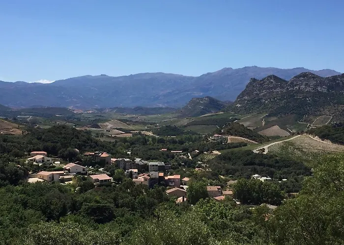 公寓 Casa Nunziada In Garden Level, Quiet And Bright 帕特里莫尼奥