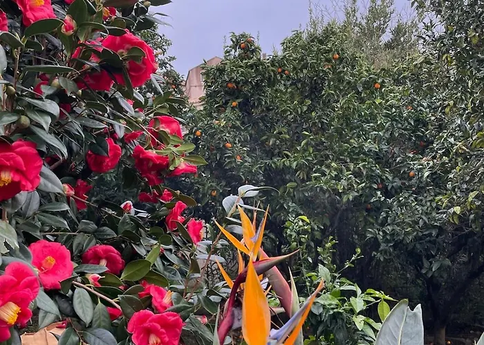 Casa Nunziada In Garden Level, Quiet And Bright 公寓 *