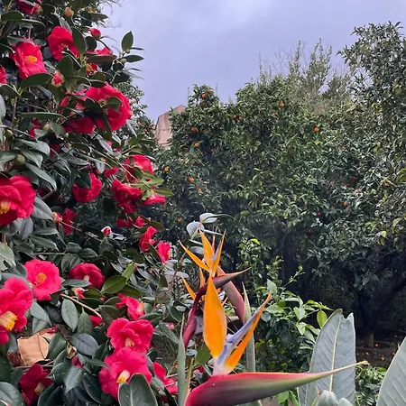 Casa Nunziada In Garden Level, Quiet And Bright Lägenhet *