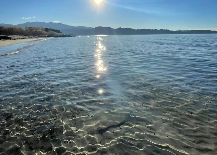 Casa Nunziada In Garden Level, Quiet And Bright * Patrimonio